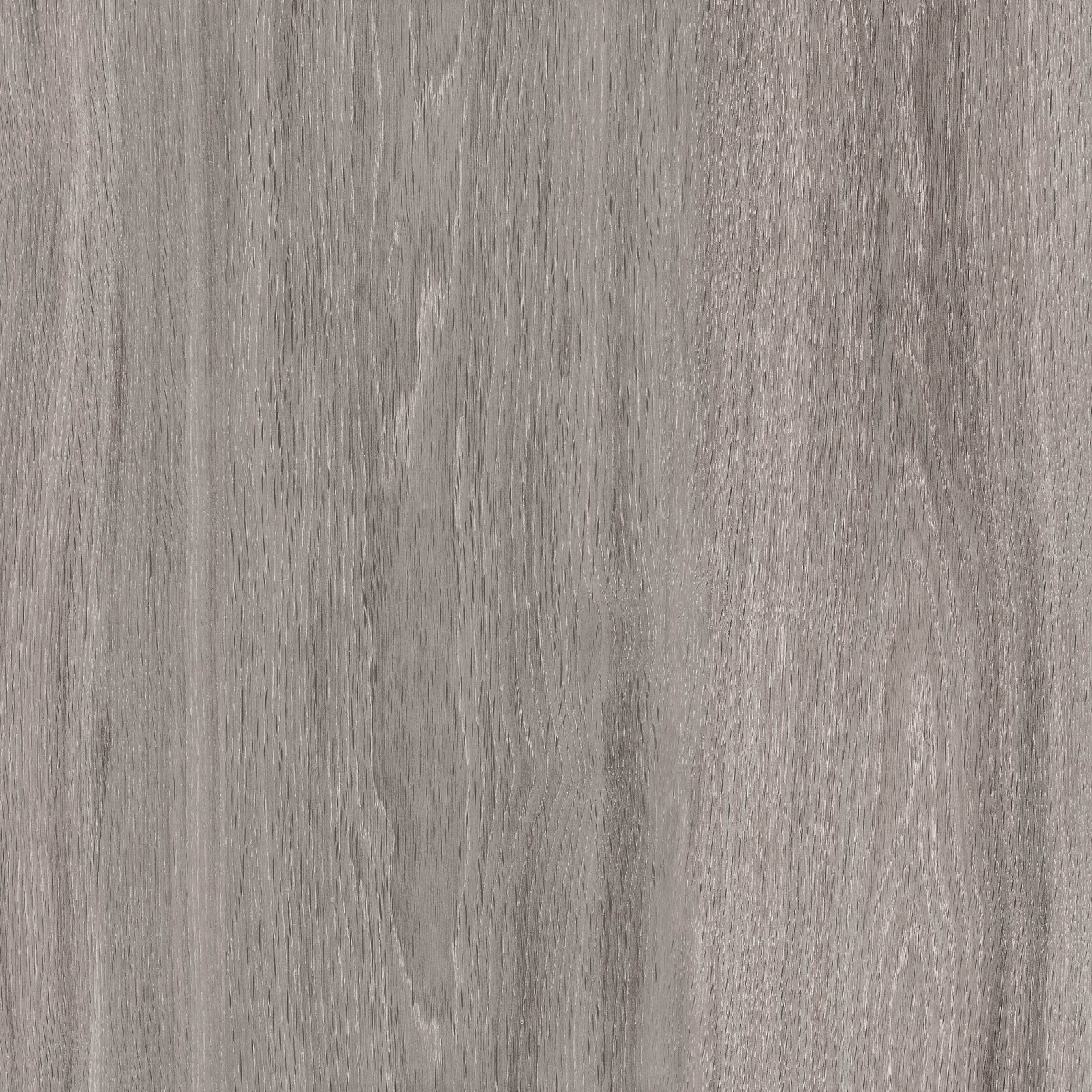 Platinum Daytona Grey 50x50